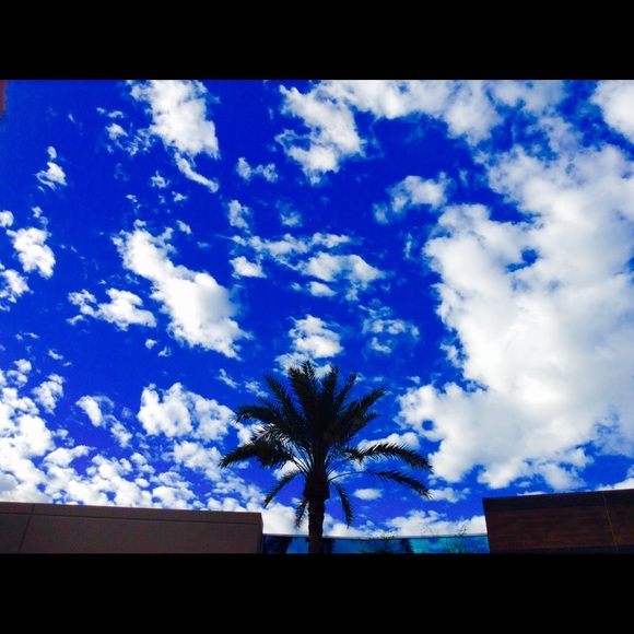 Meet your Posher, Debbie - Picture 2 of 8